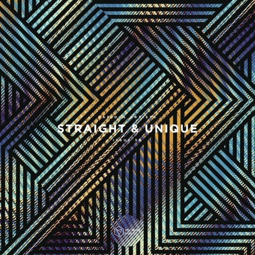 VA - Straight & Unique Issue 39 [VOLTCOMP1116]